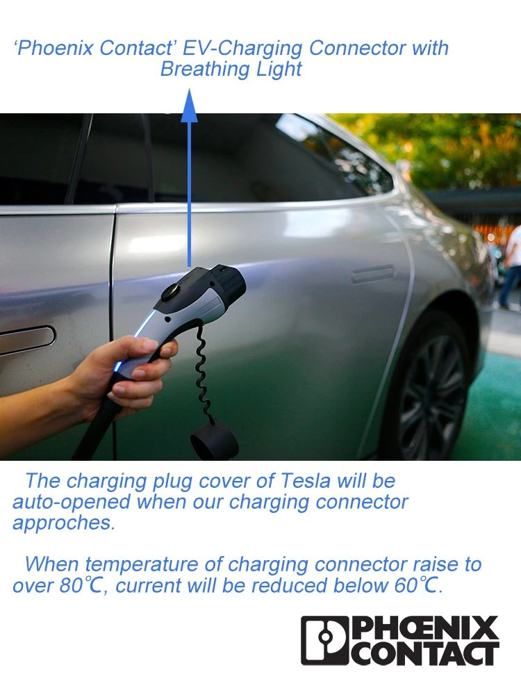 Wall-Mounted 7kw 11kw 22kw EV Charger, Plug Can Be Type 1/Type 2, Support for Setting Charging Duration and Current Size on Mobile Phones